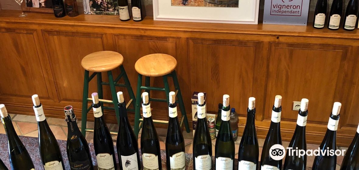 กิจกรรมน่าทำยอดนิยมในBergholtzประจำปี 2023 คู่มือท่องเที่ยวBergholtz