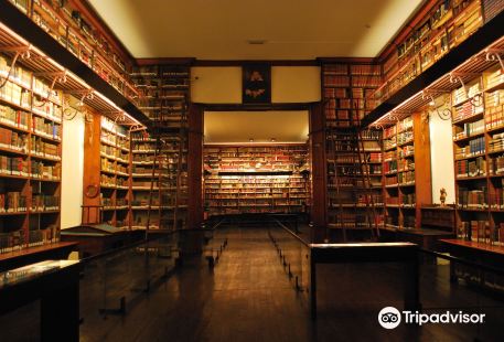 Biblioteca Patrimonial Recoleta Dominica