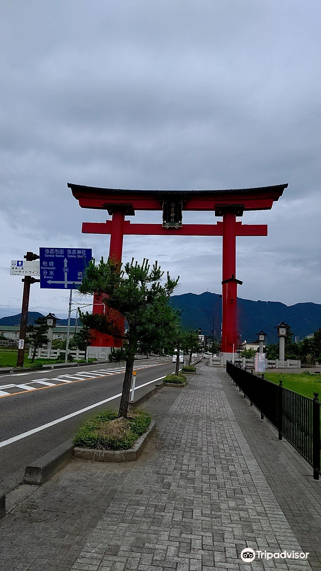 弥彦村 弥彦神社 評判 案内 トリップドットコム