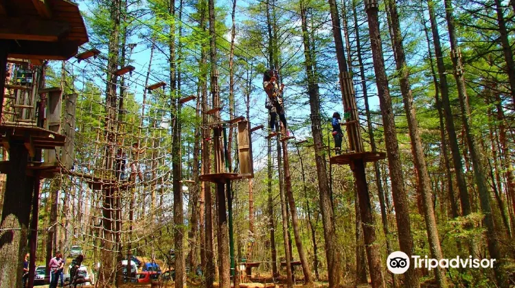Forest Adventure Mt Fuji Travel Guidebook Must Visit Attractions In Mount Fuji Forest Adventure Mt Fuji Nearby Recommendation Trip Com