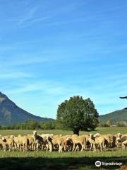 La Borda de Pastores