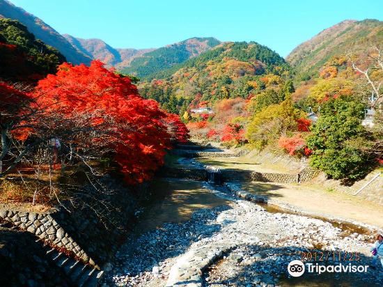 岐阜県 養老公園 評判 案内 トリップドットコム