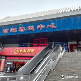 ZhongGuo ChaBoHui