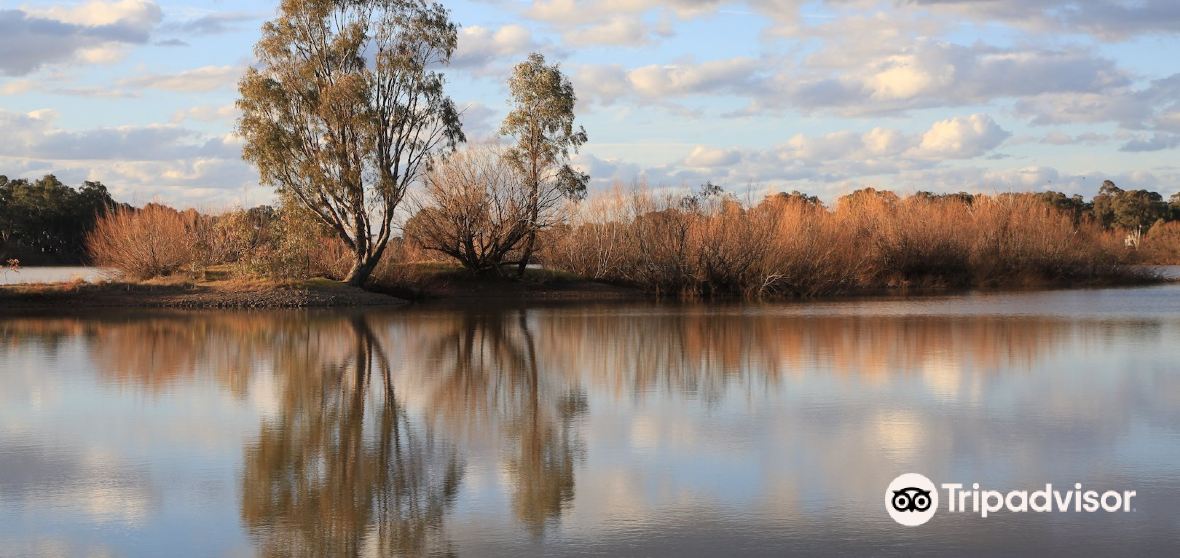 Barmedman 2023 Top Things to Do Barmedman Travel Guides Top