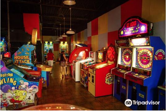 Shell Factory Nature Park旅遊攻略指南 Shell Factory Nature Park評價 Shell Factory Nature Park附近推薦 Trip Com