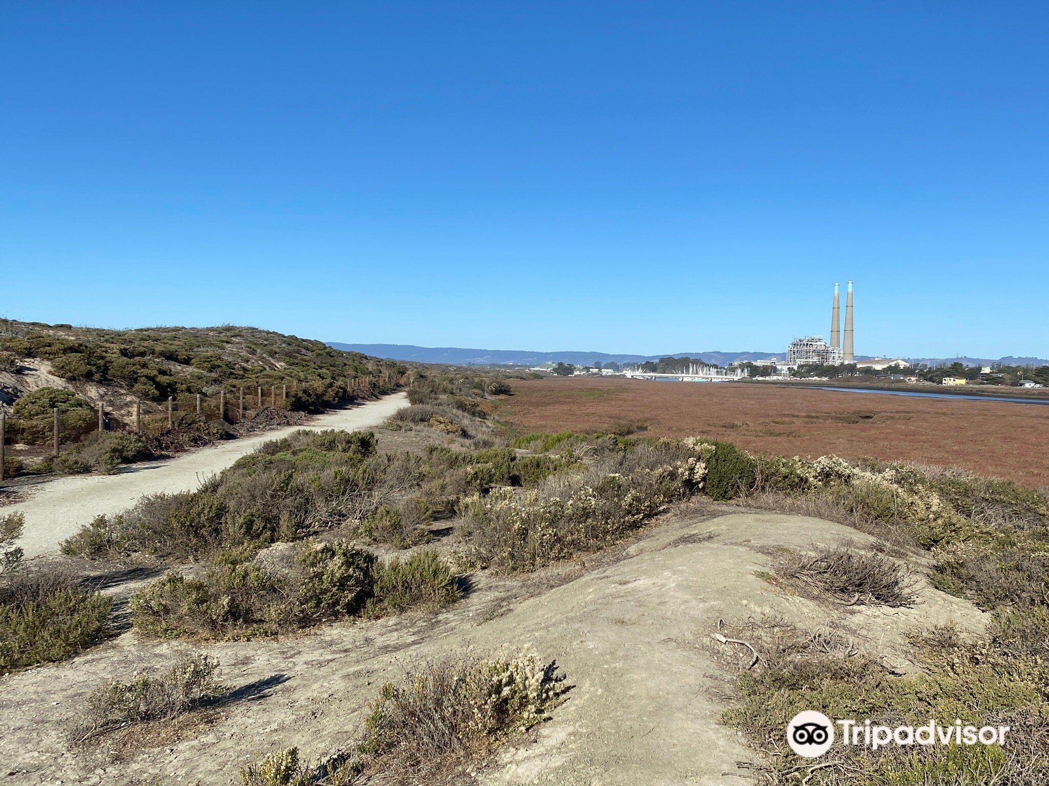 Salinas River State Beach Attraction Reviews Salinas River State Beach Tickets Salinas River State Beach Discounts Salinas River State Beach Transportation Address Opening Hours Attractions Hotels And Food