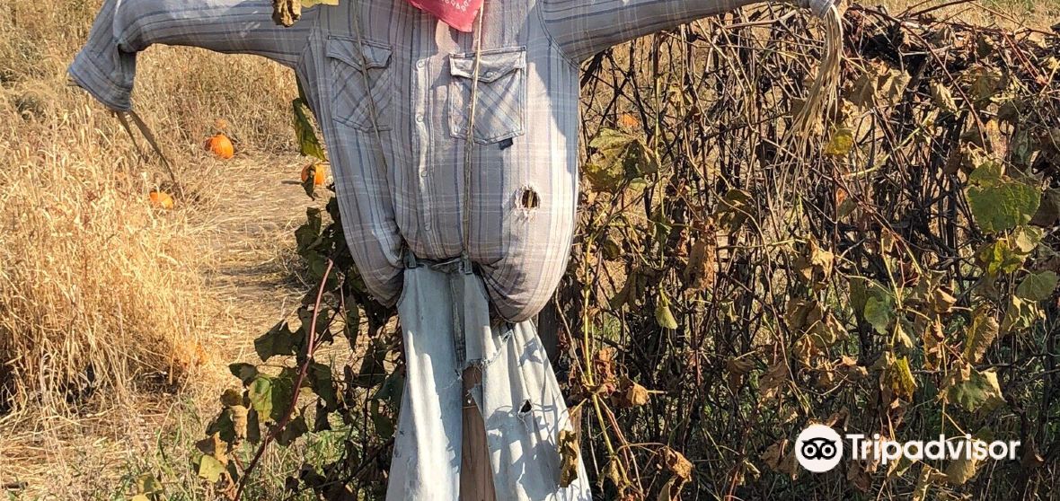 Collegeville Travel Guide 2023 Things to Do, What To Eat & Tips