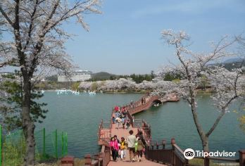 Bomun Lake Resort Popular Attractions Photos