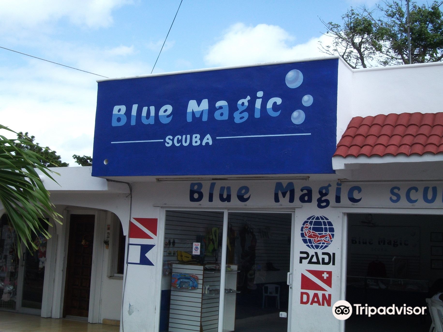 Blue Magic Scuba attraction reviews - Blue Magic Scuba tickets - Blue Magic  Scuba discounts - Blue Magic Scuba transportation, address, opening hours -  attractions, hotels, and food near Blue Magic Scuba 