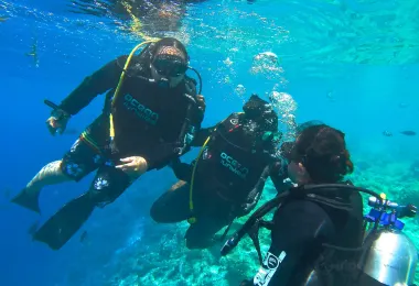 Ocean Junkies Dive Centre รูปภาพAttractionsยอดนิยม