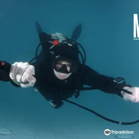 Manila Dive Academy