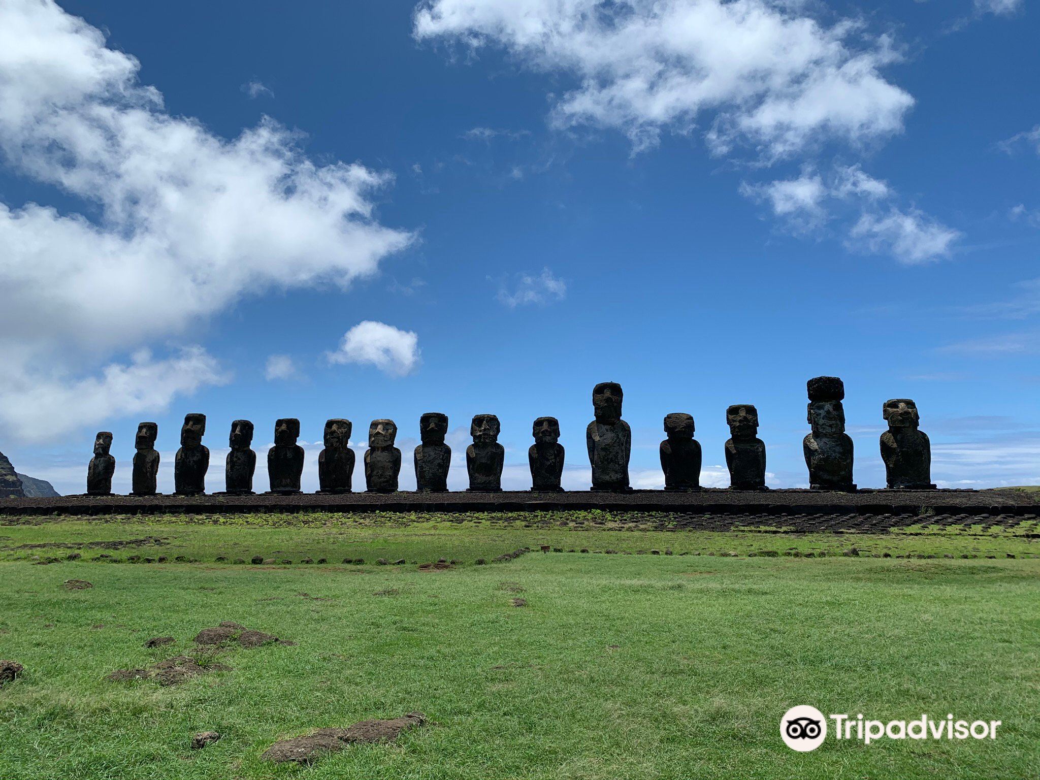 Buceo Isla De Pascuaのレビュー Buceo Isla De Pascuaのチケット Buceo Isla De Pascuaの割引 Buceo Isla De Pascuaの交通機関 所在地 営業時間 Buceo Isla De Pascua周辺の観光スポット ホテル グルメ Trip Com