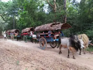 Sigiriya Craft Village