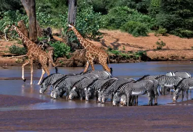 Nature's Wonderland Safaris รูปภาพAttractionsยอดนิยม