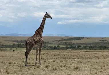 Kudu Hills Safaris รูปภาพAttractionsยอดนิยม
