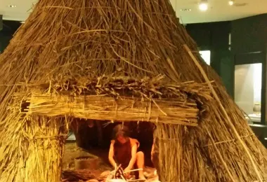 農業博物館 熱門景點照片