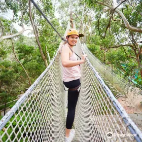 Tree Surfing Australia