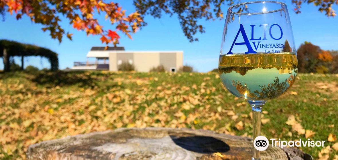 Alto Pass Precinct Travel Guide 2023 Things to Do, What To Eat & Tips