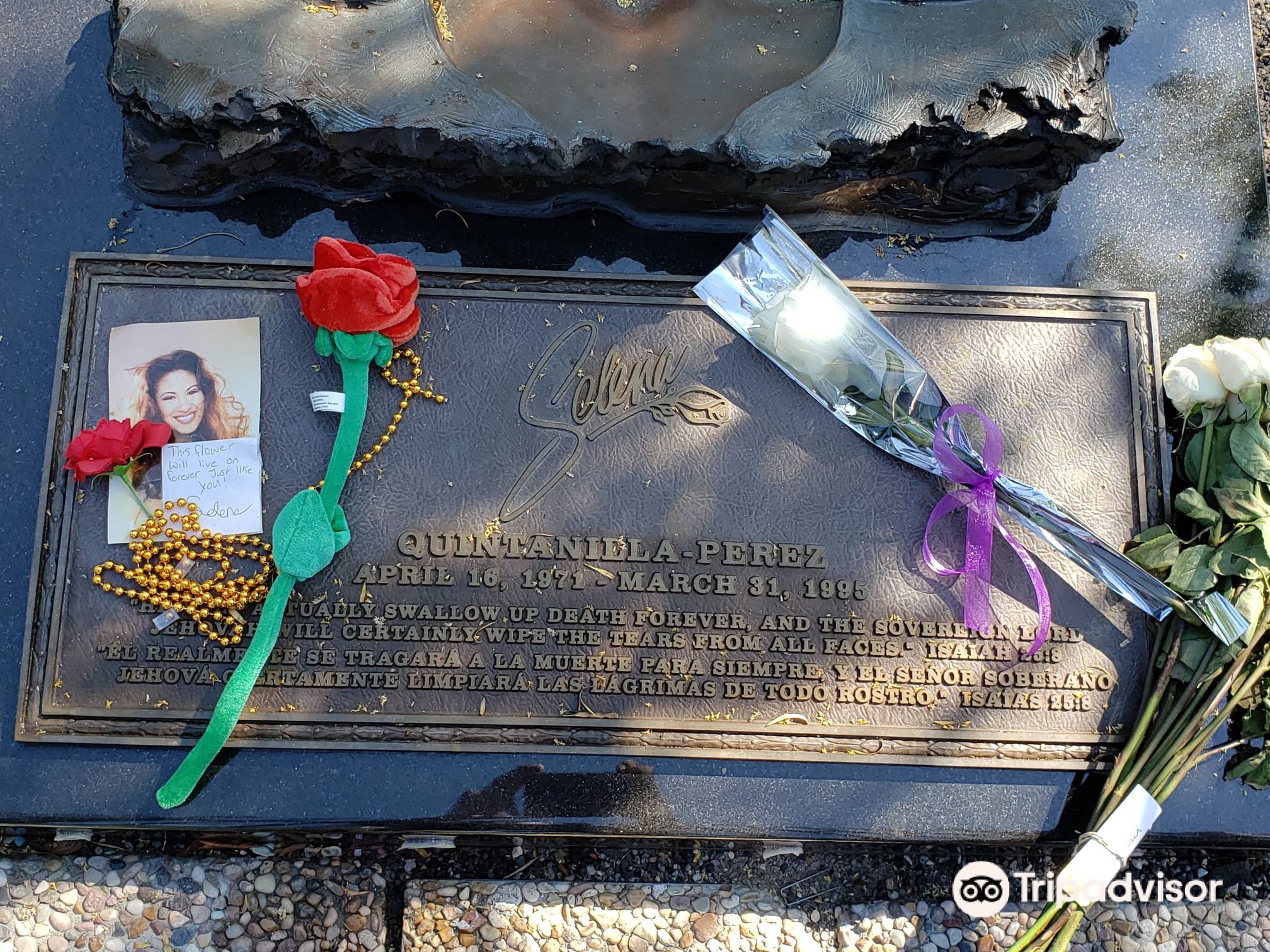 Latest travel itineraries for The Grave of Selena QuintanillaPerez at