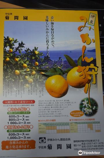 みかんの花咲く丘歌碑のレビュー みかんの花咲く丘歌碑のチケット みかんの花咲く丘歌碑の割引 みかんの花咲く丘歌碑の交通機関 所在地 営業時間 みかんの花咲く丘歌碑周辺の観光スポット ホテル グルメ Trip Com