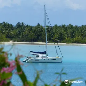 Charter Maui