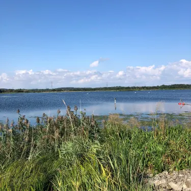 ファーンダウン