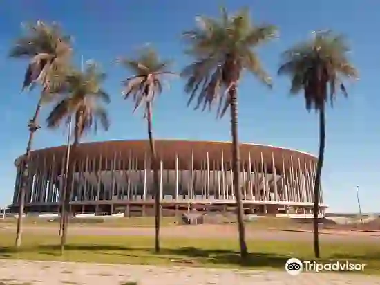 4 Days in Brasilia Trip: Budgets, Hotels, Food & Attractions 