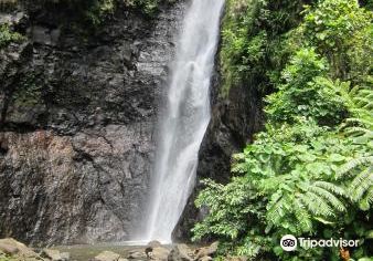 Fautaua Waterfall Popular Attractions Photos