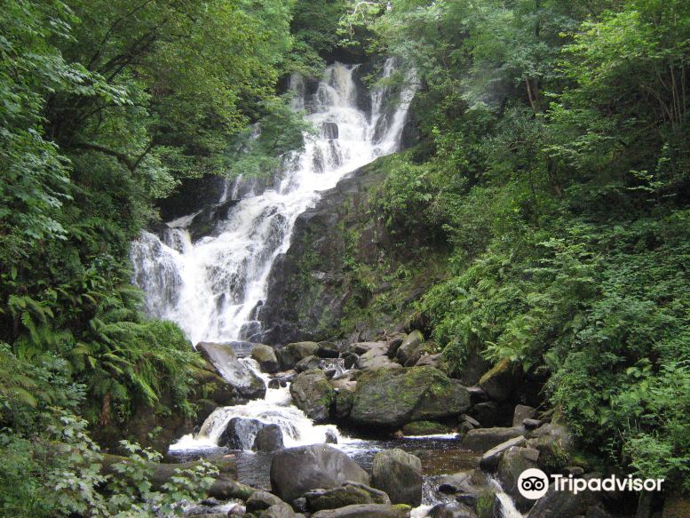 キラーニー国立公園のレビュー キラーニー国立公園のチケット キラーニー国立公園の割引 キラーニー国立公園の交通機関 所在地 営業時間 キラーニー国立公園周辺の観光スポット ホテル グルメ Trip Com