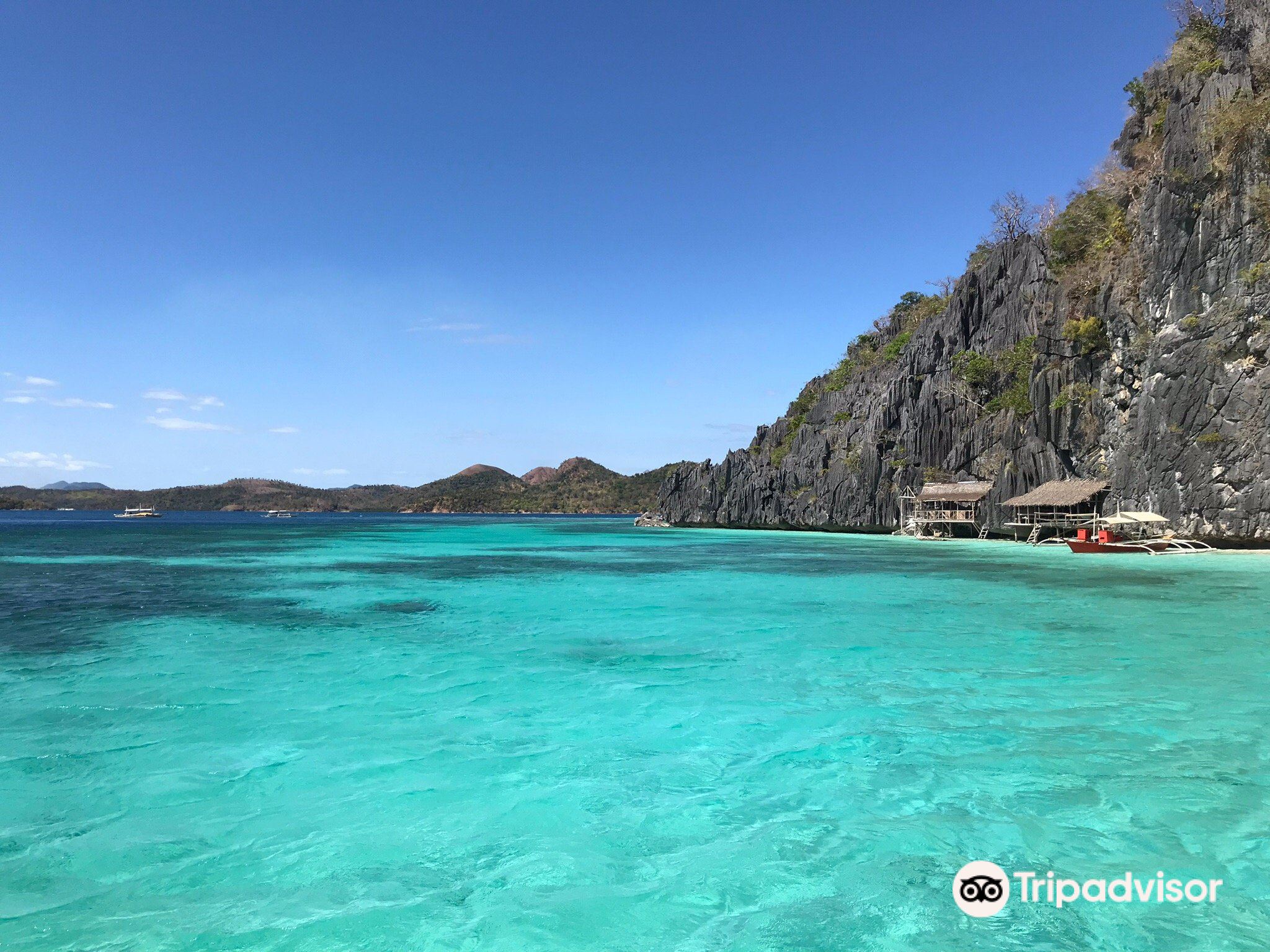 Malwawey Coral Gardenの写真 パラワン州の観光スポットの写真 Tripメモリー