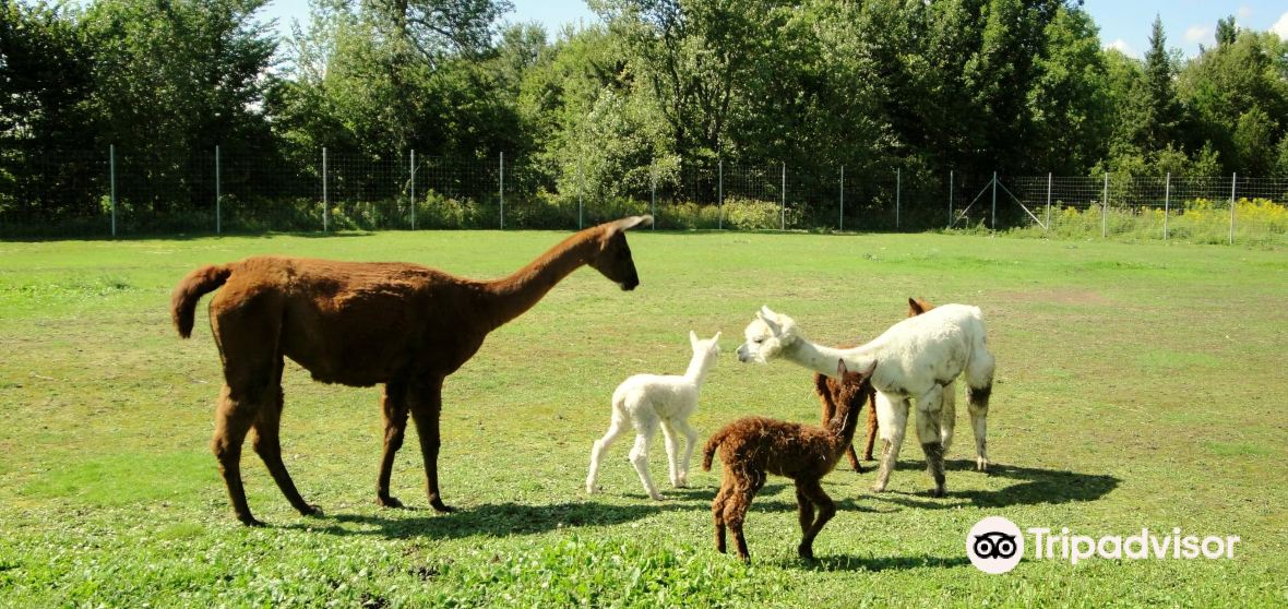 Brownsburg Travel Guide 2023 Things to Do, What To Eat & Tips