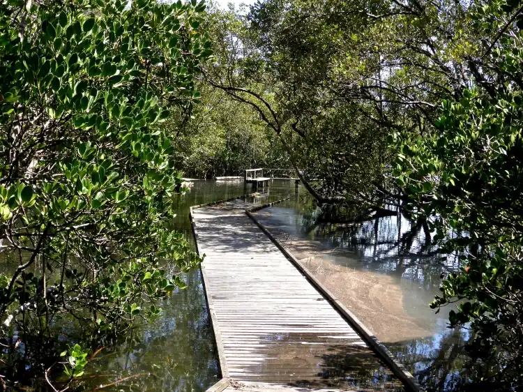 Tweed Heads South