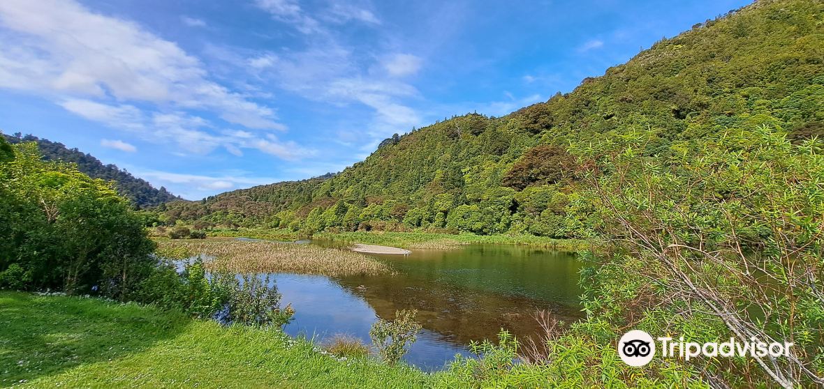 Wainuiomata 2023 인기 명소 Wainuiomata 트립 가이드 Wainuiomata 인기 명소 입장권 추천