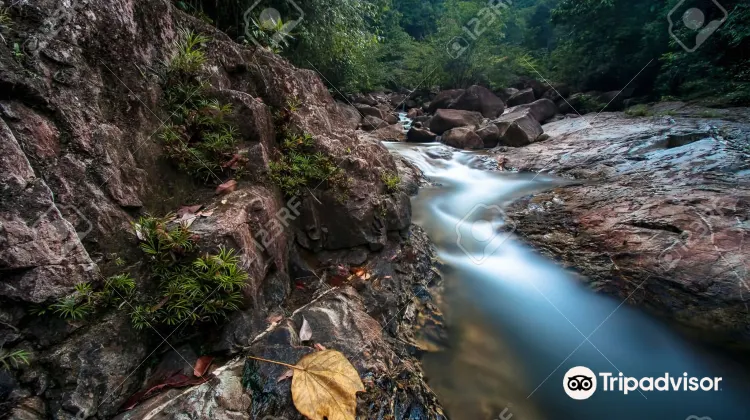 Air Terjun Chemerong Travel Guidebook Must Visit Attractions In Pasir Raja Air Terjun Chemerong Nearby Recommendation Trip Com