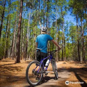 MTB Adventures