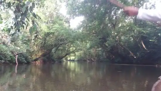 Hotel dekat Lobos del manglar