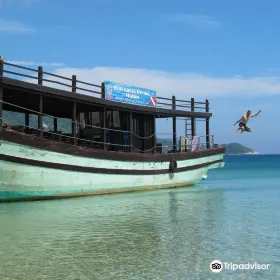 Blue Coral Diving