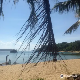 Cham Island Diving