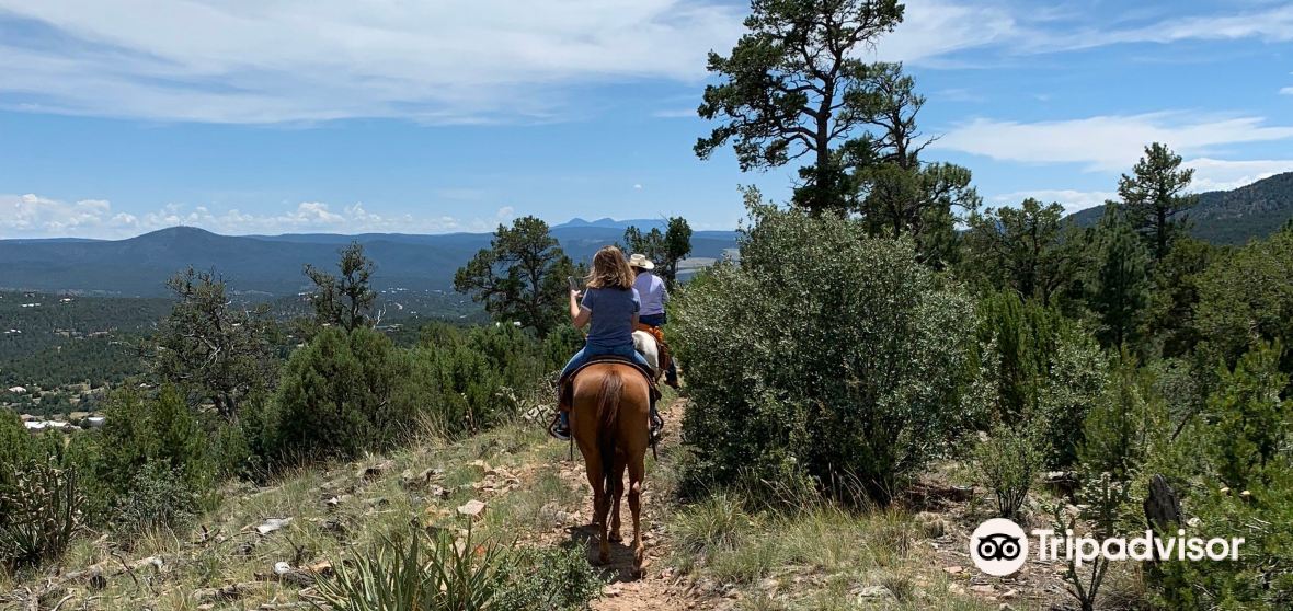 Cedar Crest Travel Guide 2023 Things to Do, What To Eat & Tips