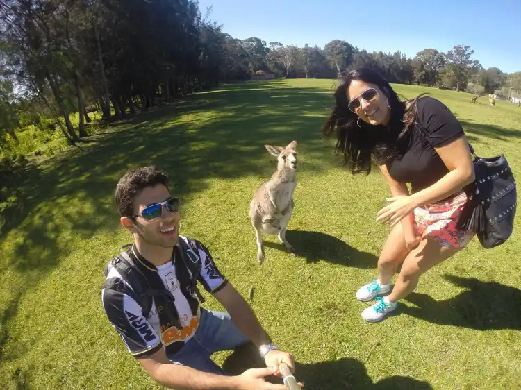 Hotels in Morisset