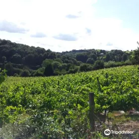 Yearlstone Vineyard