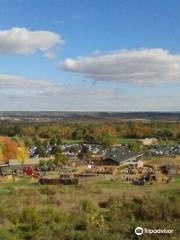 Springridge Farm