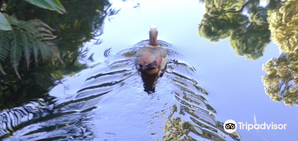 Claremont 2023 Top Things to Do Claremont Travel Guides Top