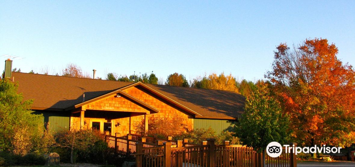 แนะนำการเดินทาง Leland Township 2023 สิ่งที่ควรทำ, อาหารที่ควร