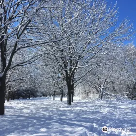 Parc Maisonneuve