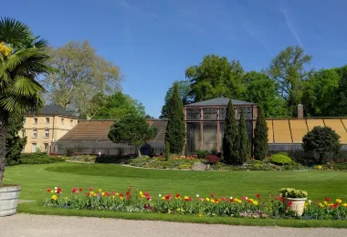 Karlsruhe Botanical Garden รูปภาพAttractionsยอดนิยม
