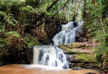 Karura Forest Reserve 명소 인기 사진