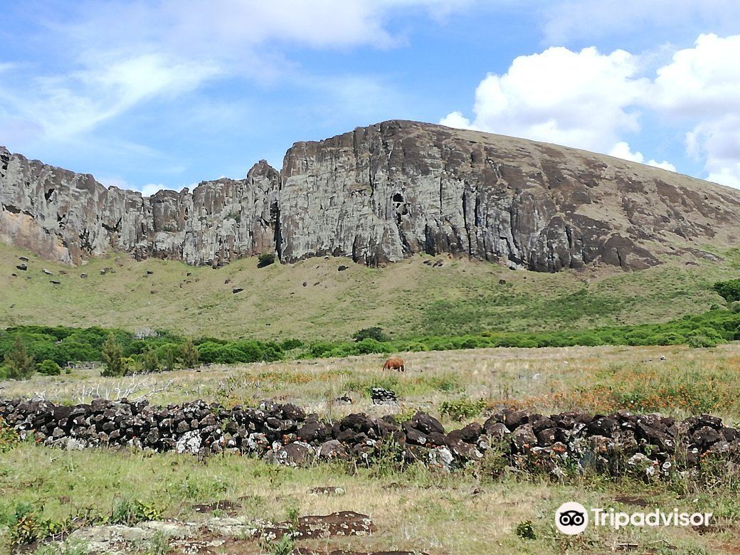 Buceo Isla De Pascuaのレビュー Buceo Isla De Pascuaのチケット Buceo Isla De Pascuaの割引 Buceo Isla De Pascuaの交通機関 所在地 営業時間 Buceo Isla De Pascua周辺の観光スポット ホテル グルメ Trip Com