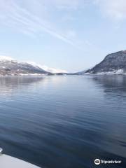 Fjordcruise Around Tromso by Arctic Sea Cruise