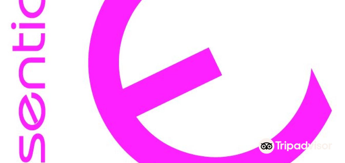 กิจกรรมน่าทำยอดนิยมในCastle Bromwichประจำปี 2022 คู่มือท่องเที่ยว